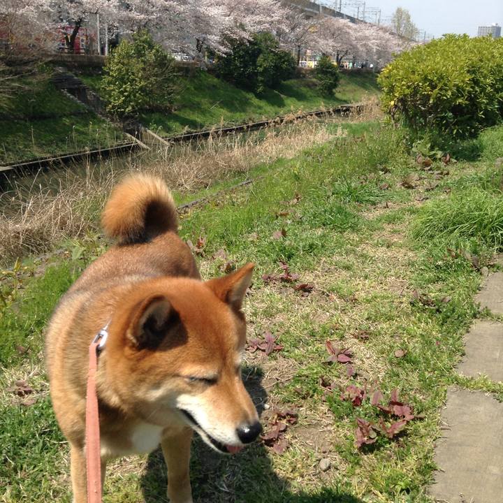 4b11a057 cd89 474f 8d8a 9a6515b99793