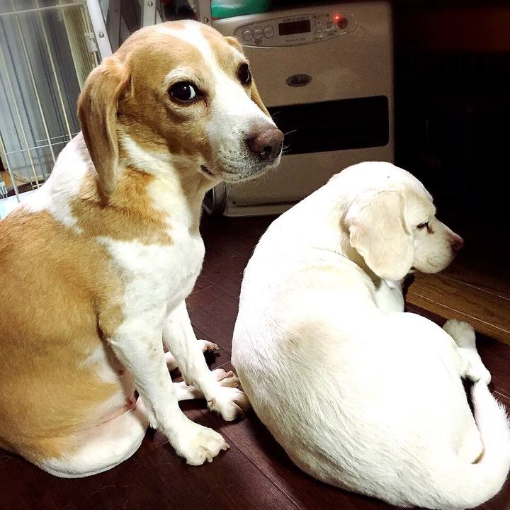 4b12e50a 11f7 457b b587 f10285e7ed47