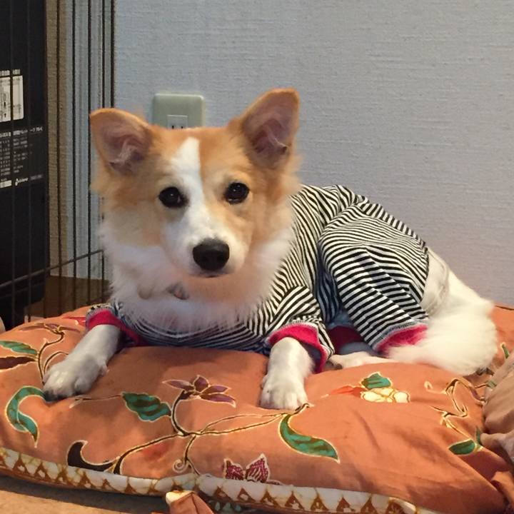 4b1319ee 7642 48a9 9b1d 2bfb110c6eb5