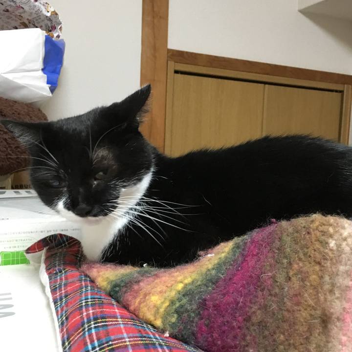 4b1337bf cccb 47d6 8a1a 0e0c6e818f63