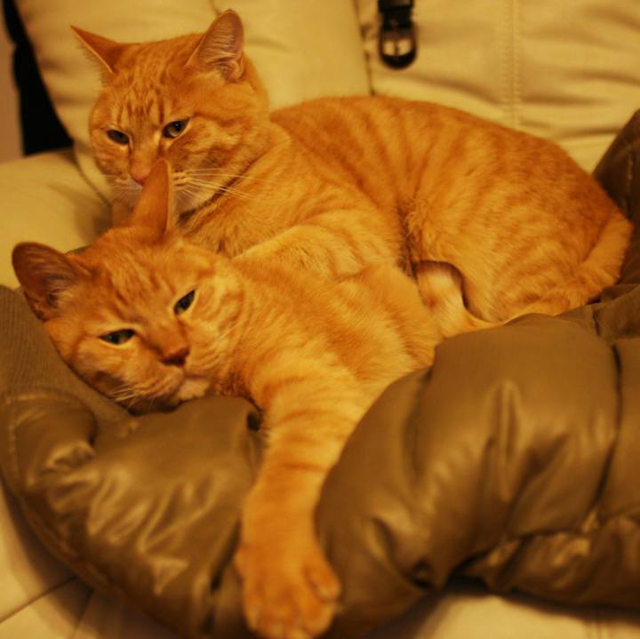 4b13571e 5003 4f9a a2e2 a84d1ec3b18a