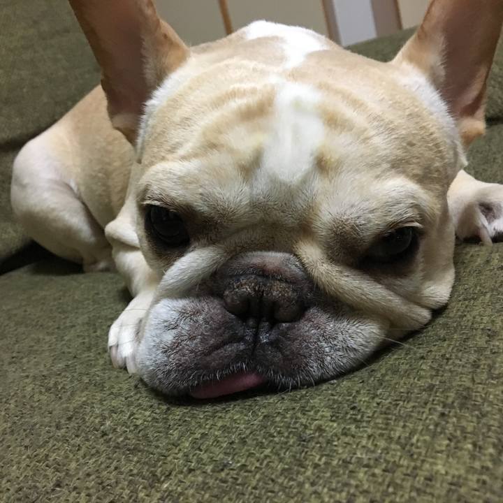 4b137c74 0612 465f afaf 71ac5c7f2489