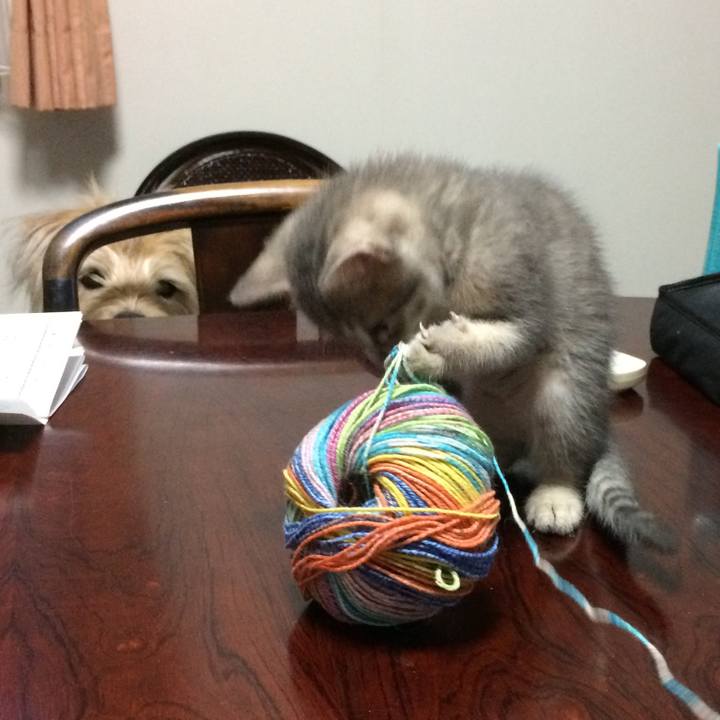 4b13a9a9 a60d 4ffa 88ce 96d7a17e2765