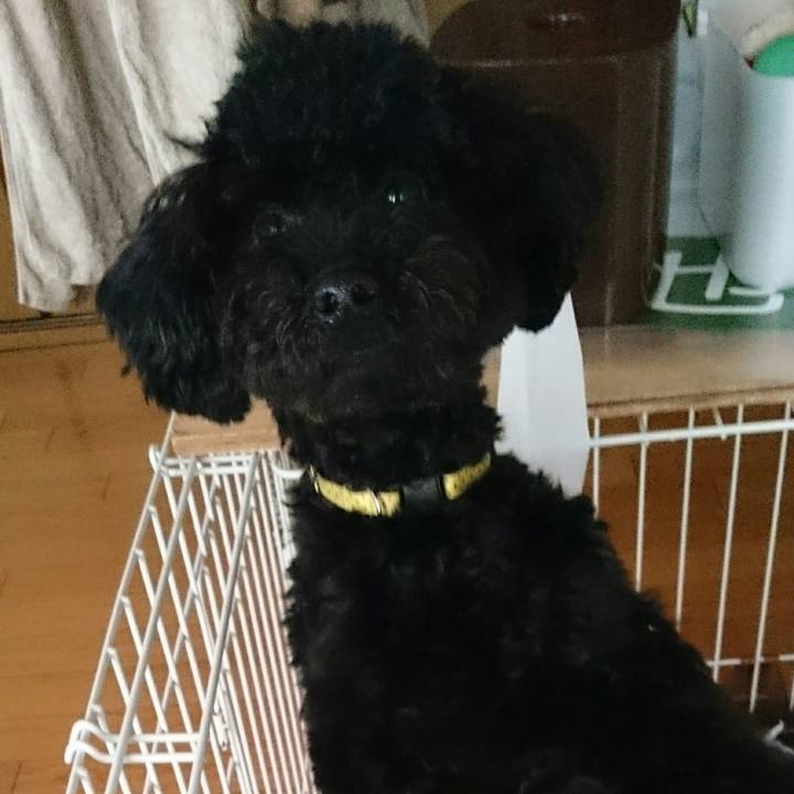 4b13caff ec33 4a69 9258 cb9000ebc090