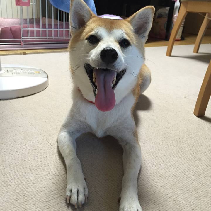 4b140aa7 0fac 4c49 8b2b 5481f0b4121d