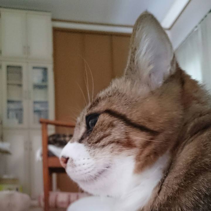 4b144454 7ea1 4aed b1c2 91fe28db7113