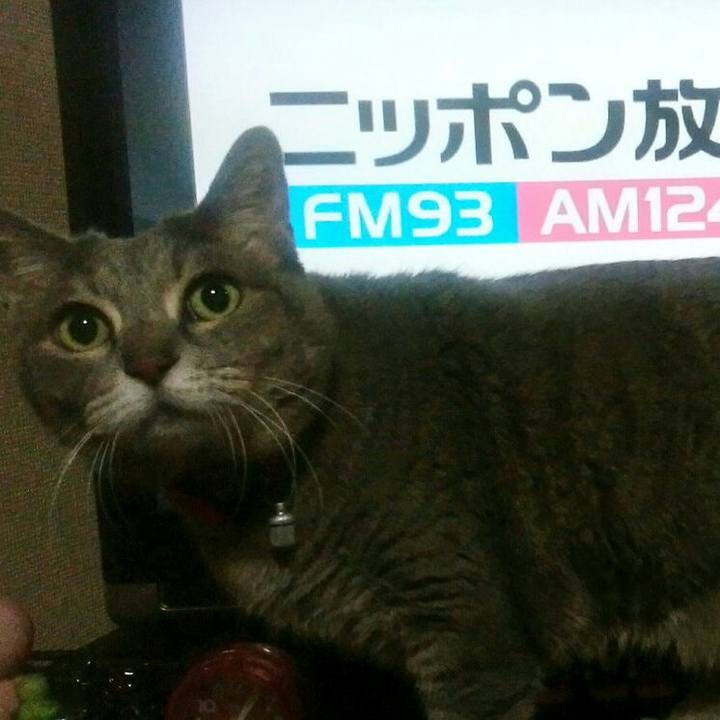 4b145ee1 2815 4c14 898c 90bfa14cb533