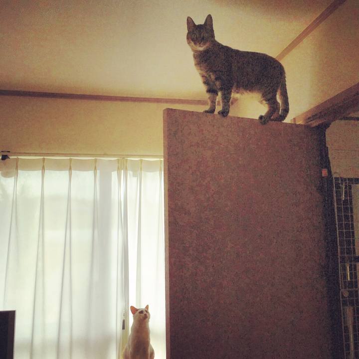 4b1470ac 37ab 43a3 a5a3 06c67e97e81f