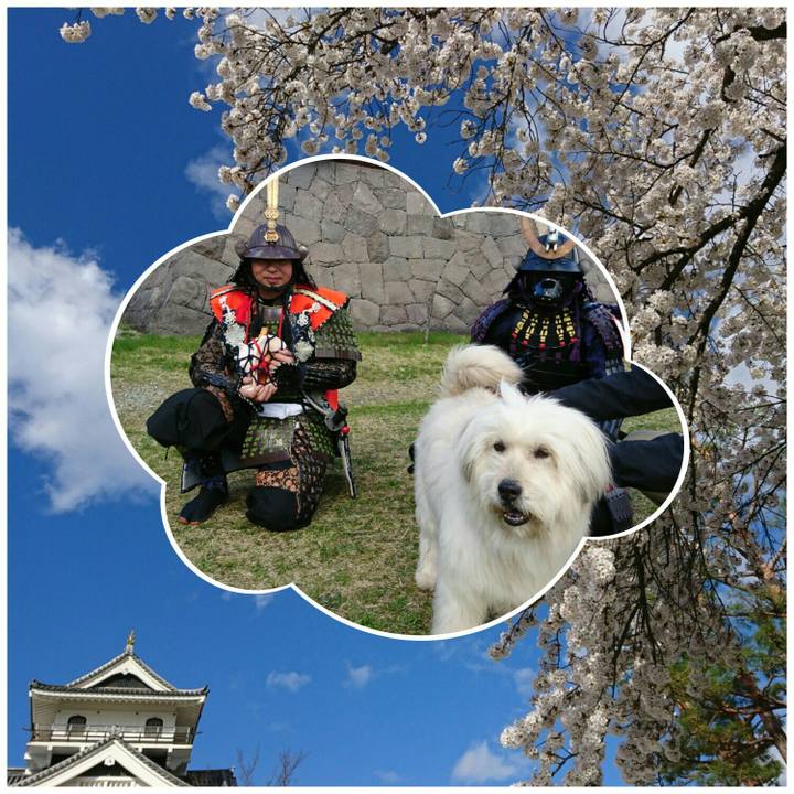 4b14879d e23d 4e66 b92c 45d5483a4828