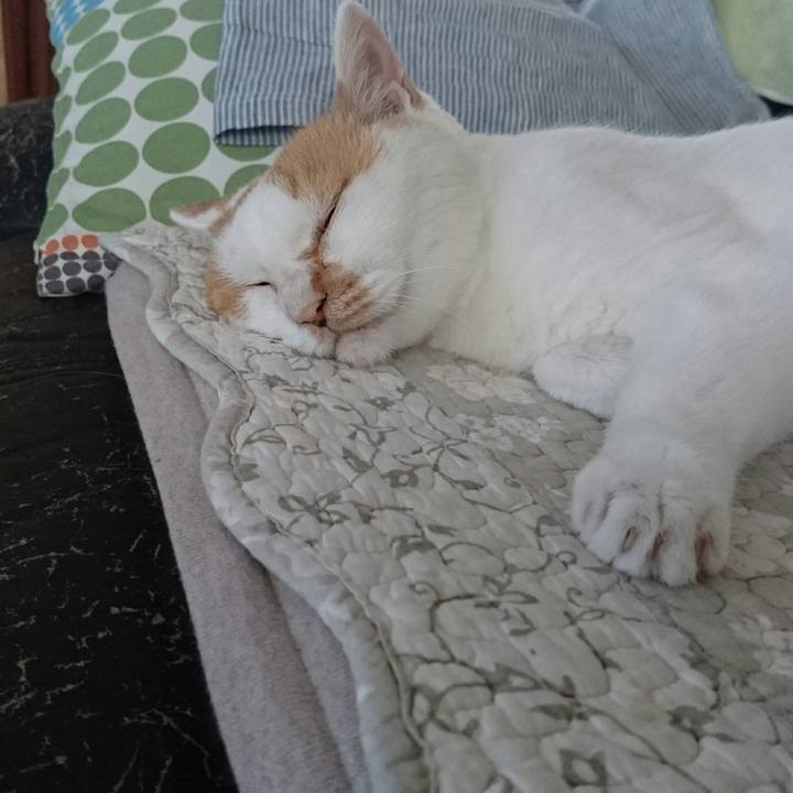 4b14c7f3 d05f 4b4f 833a 95b23432bfe4