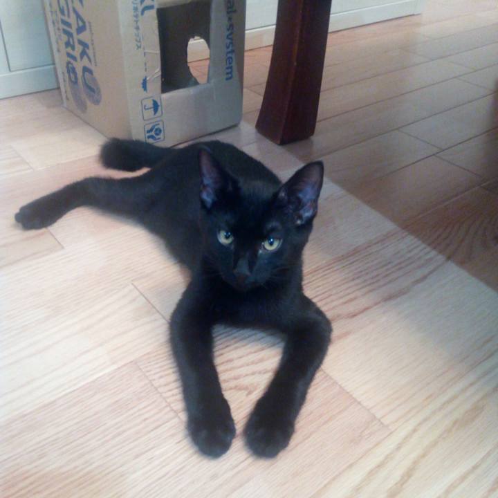 4b152997 0c0c 49fa 8964 fe5bbed2e744