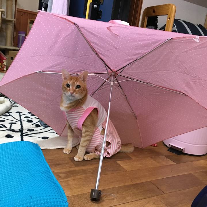 4b1533de 2c72 42cd aecc 0a7aff218cb2