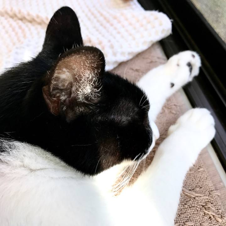 4b158224 a32f 4fc1 a5c4 b3bcb1aa6f01