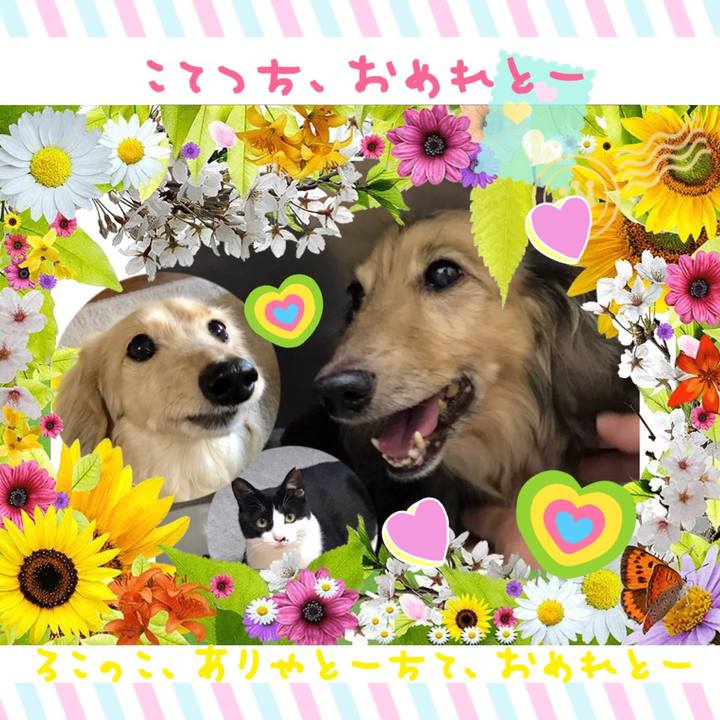 4b16f6bd 7cb5 437d 8485 6fd34cfd36b3