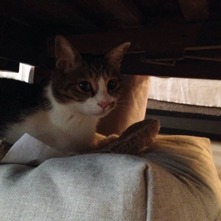 4b178d91 b951 49bb 8cc2 72574f58d852