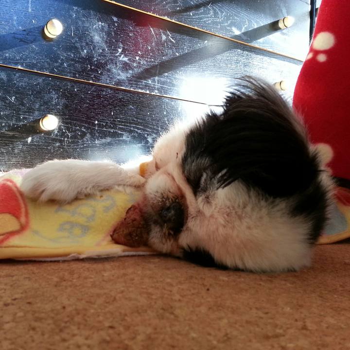 4b17b9fa 8c13 4c3a a5e2 edbba2d468a8