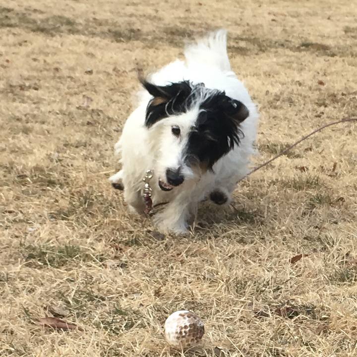 4b188c10 3bb6 4a95 a224 0e7b1fc99d71