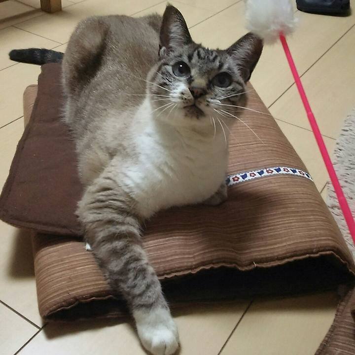 4b190f22 3d6b 4c8e a0b2 71a07bb010eb