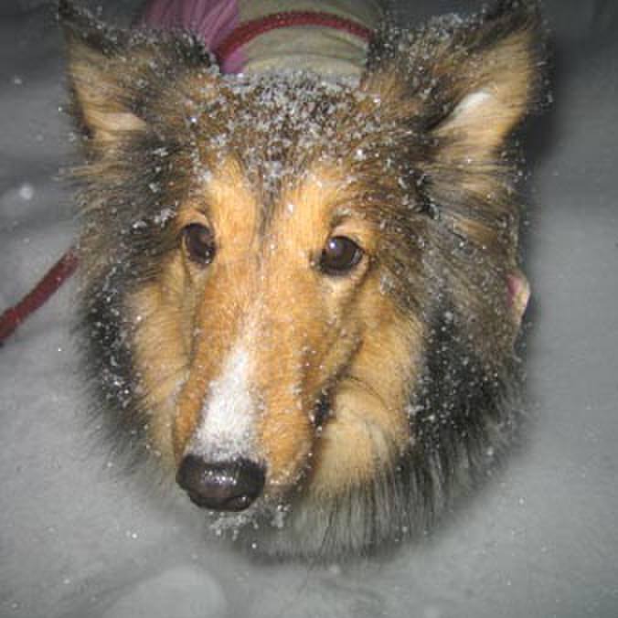 4b195df9 c142 4481 be5a f1b4cb1f9ba7