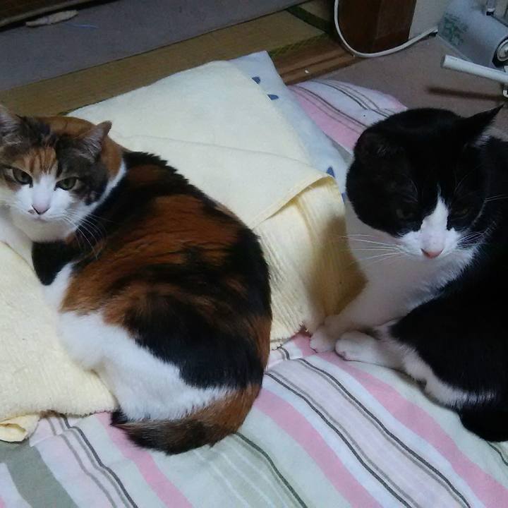 4b19d198 5cac 4977 af3d 5a1d93f442cd