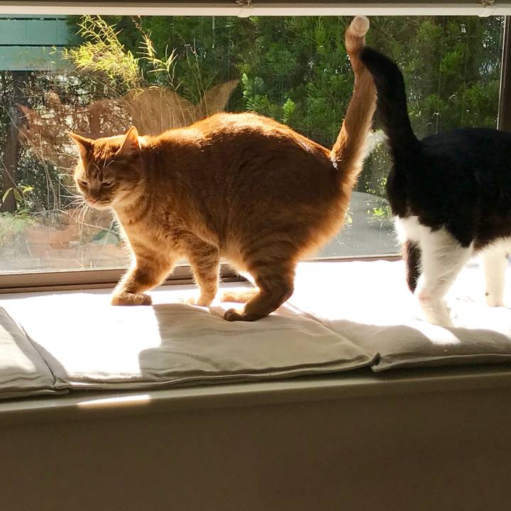 4b19f4d9 a1dd 4e3e 990e 4171086c3b5f