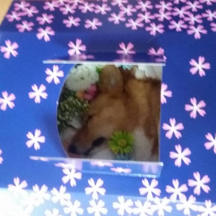 4b1a2dc2 8e8d 4fc6 9f49 2f3e13b72cb8