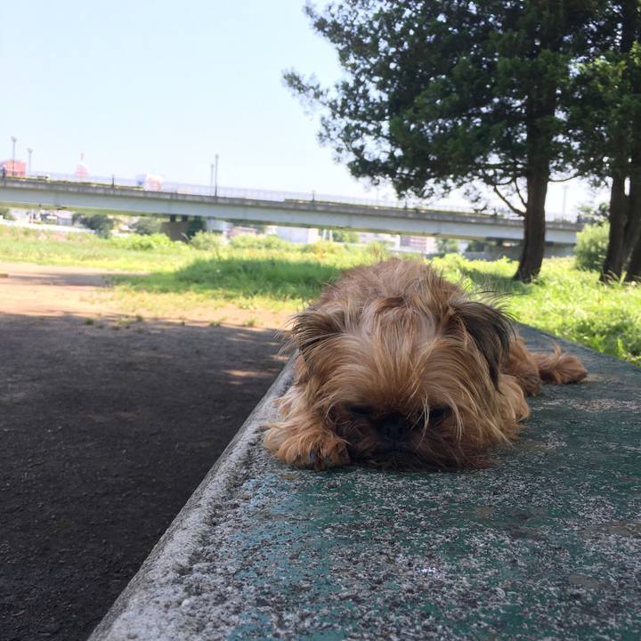 4b1a33e8 effd 44f1 8a44 85066041aa07