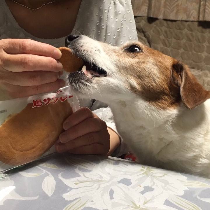 4b1a5d82 b998 4bd0 bc6e abc76586a007