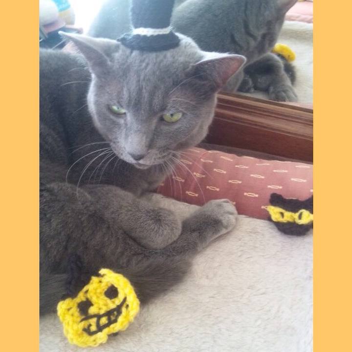 4b1b8045 da79 44e5 8e57 7ef5efb42710