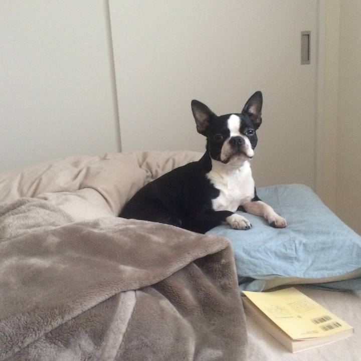 4b1c8c6d 9671 421d b6d0 c8f1d9aa6520