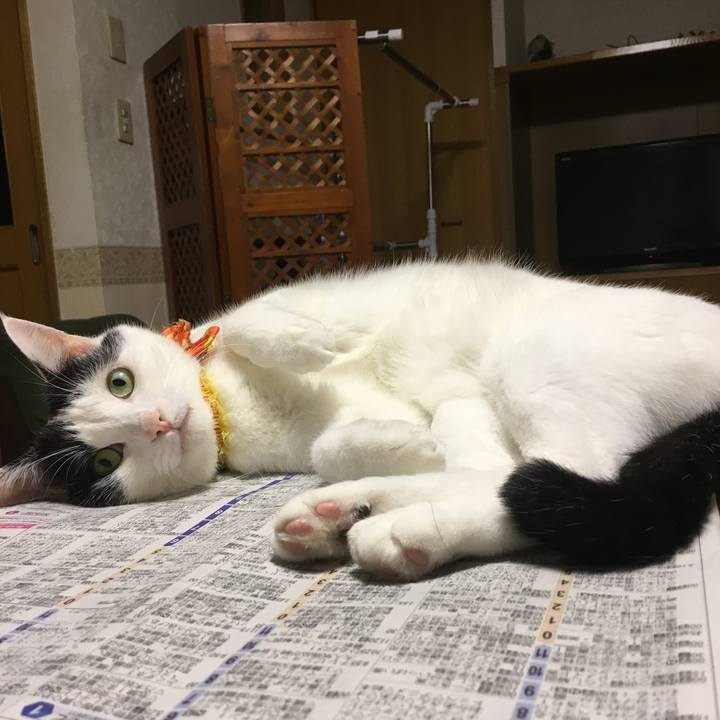 4b1cbe22 f93a 4307 8cfd c6a00de29000