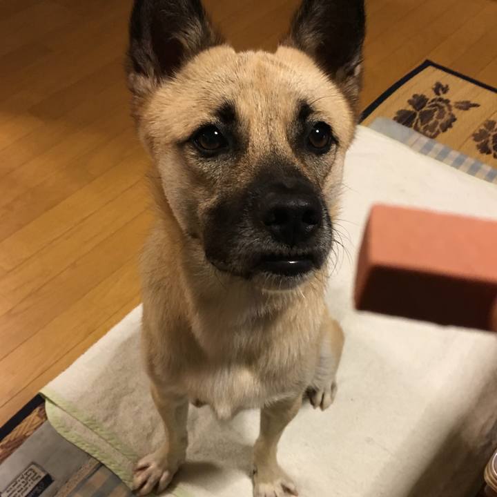 4b1da968 859f 42b9 9fb6 0baa33a29be7