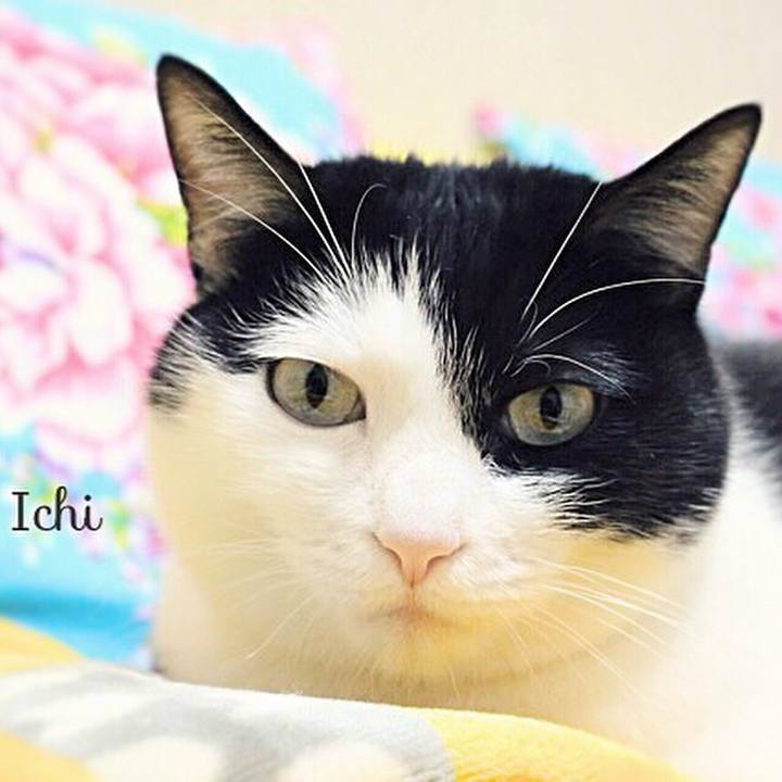 4b1dcbf4 a683 4fc5 896e 7b8787a0fc27