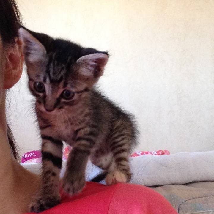 4b1de783 3bca 48df a439 f74594c88ac3