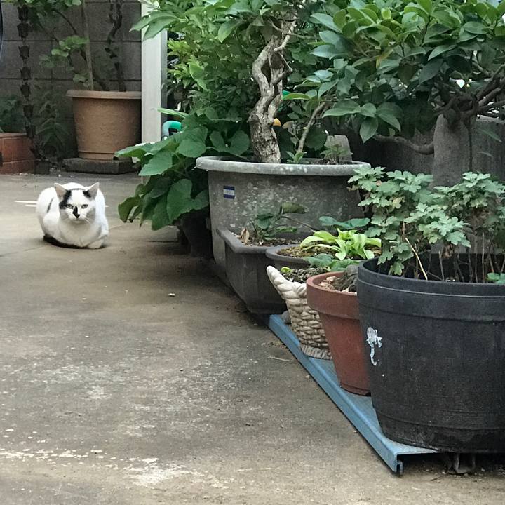 4b1e190d 3edf 4832 9730 aac161579f4c