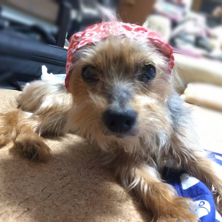 4b1e6eb2 e1da 4d6e 825f 1fec2ee8f18b