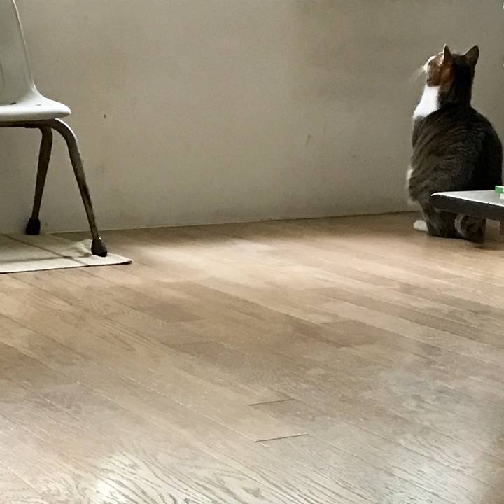 4b1ebcdb 0a99 4147 9120 67e8ab836be5