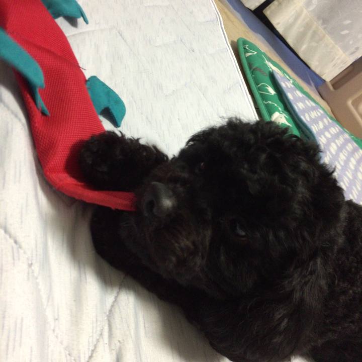 4b1ef890 d764 4dcb 9b7f a838a181de28