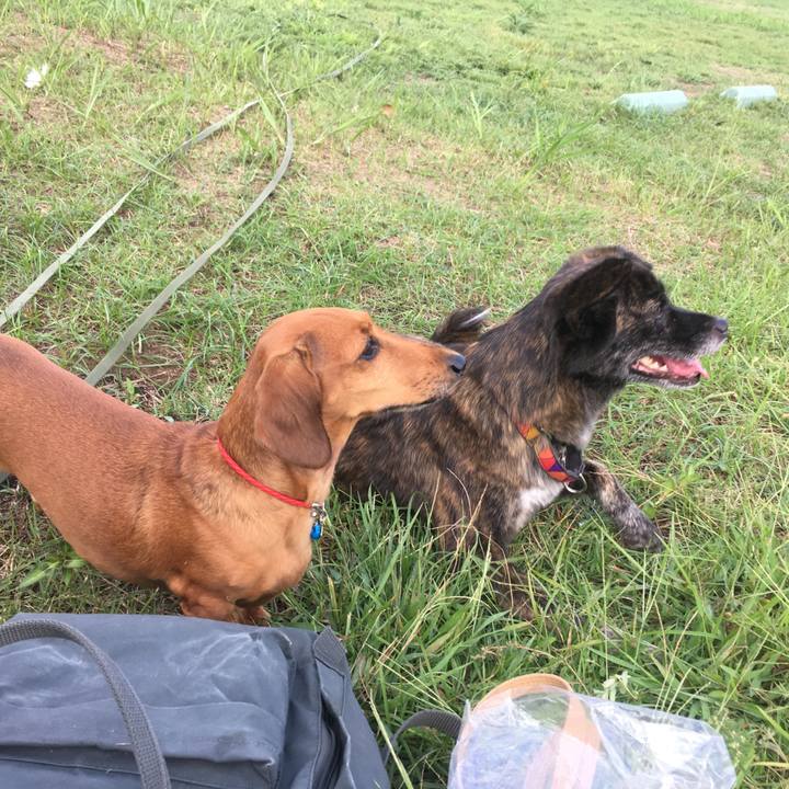 4b1f3a69 deea 43bb a5a1 6ec852403d41