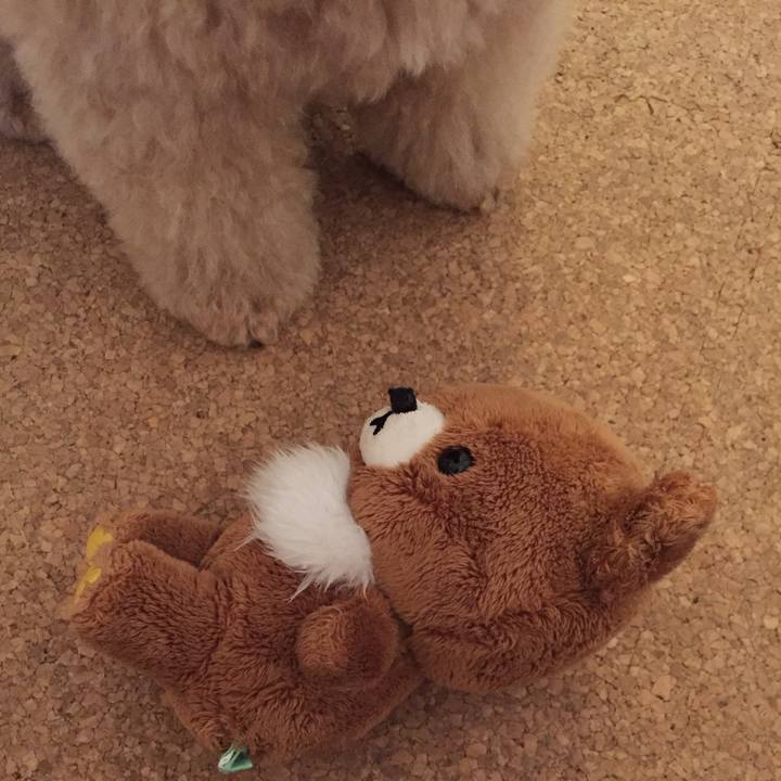 4b1fa108 d0f3 4eaa 9790 5c71b09e9f14