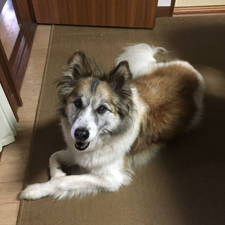 4b1fc4ee 7b6e 423f a412 db761a1a8b85