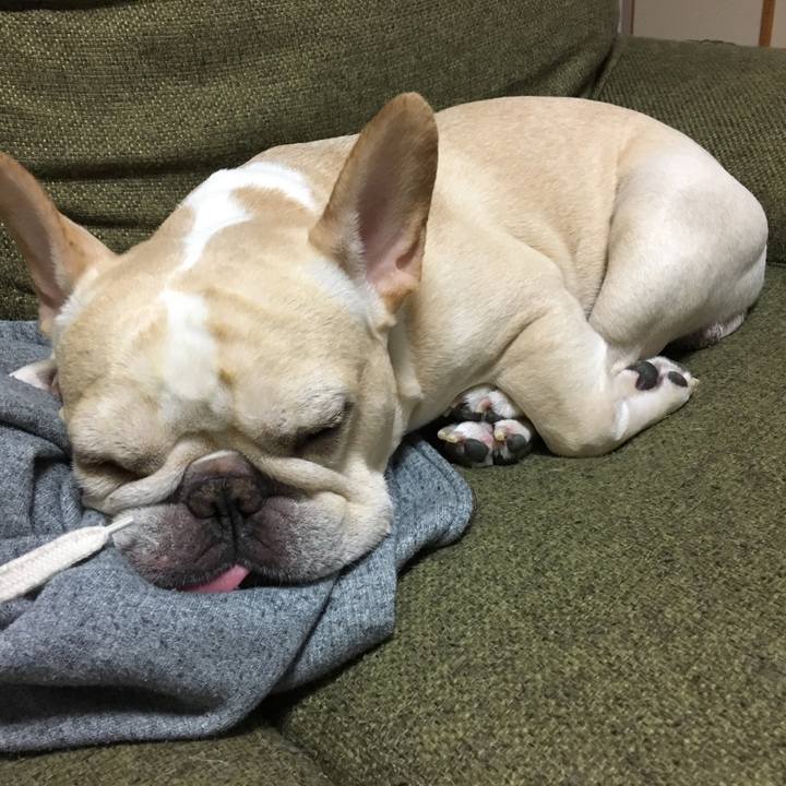 4b209074 c1a0 4244 8891 91d1298dd5e3