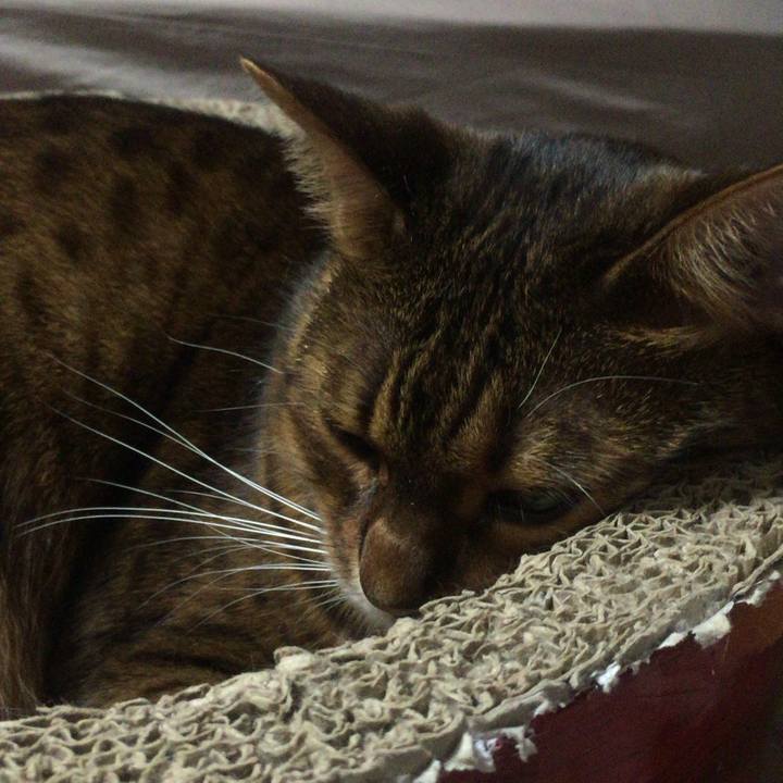 4b2123a7 8a5c 4310 9aff 838e999c083c