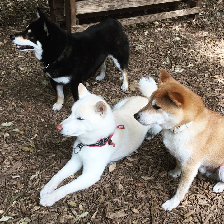 4b2137b1 c5fd 4815 bc73 5c4d4ffe5b86