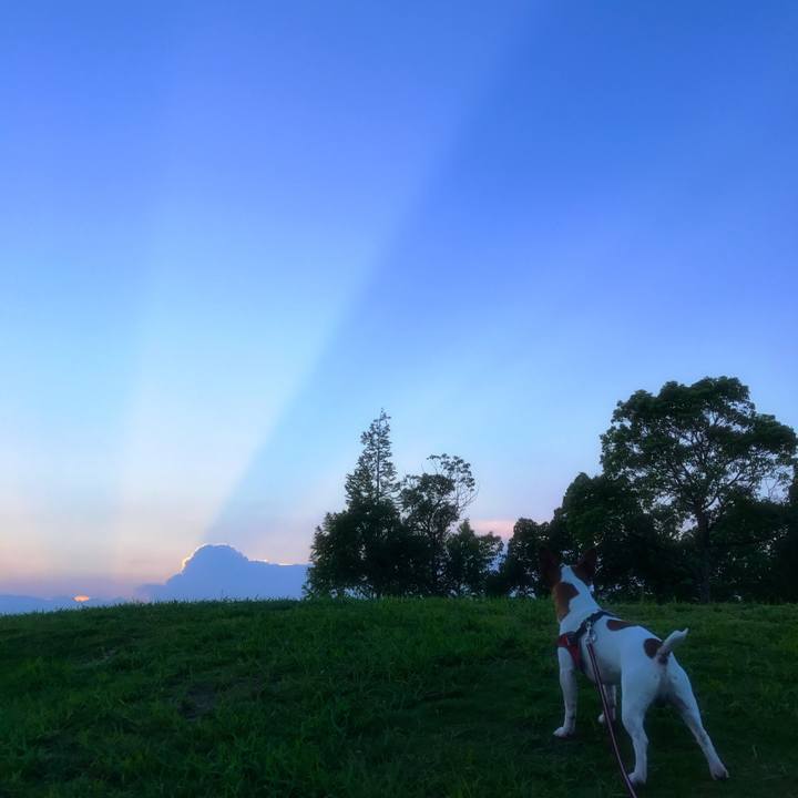 4b2176ac 273f 4f08 bcae 0728b0033cef