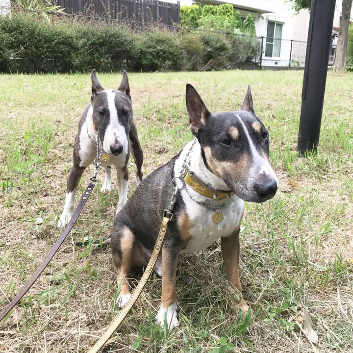 4b226a7a b976 443f a431 1cac4c4e773b