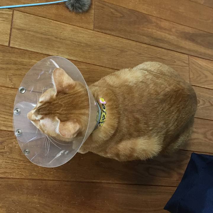 4b2352db d91c 4e3e 9096 b9476c54863c