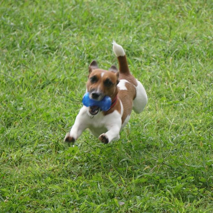 4b2359b1 e75e 49f9 914b f72f222351c4