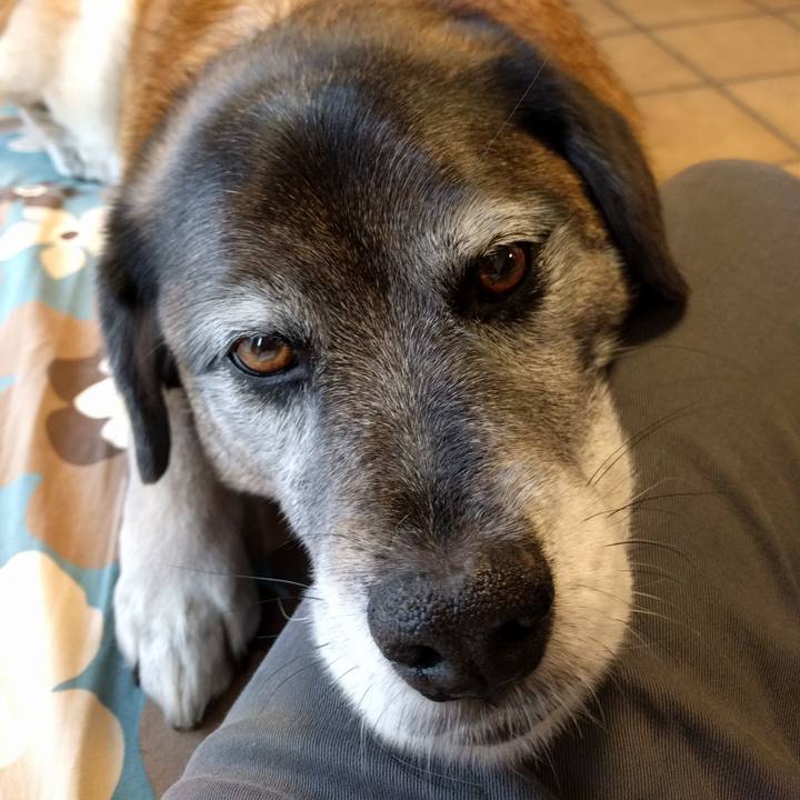 4b24414d c912 44a7 8ec2 6188c40c700d