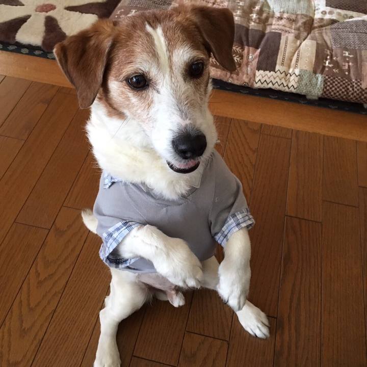 4b2473d6 09a6 44ba af6c e7772521177e